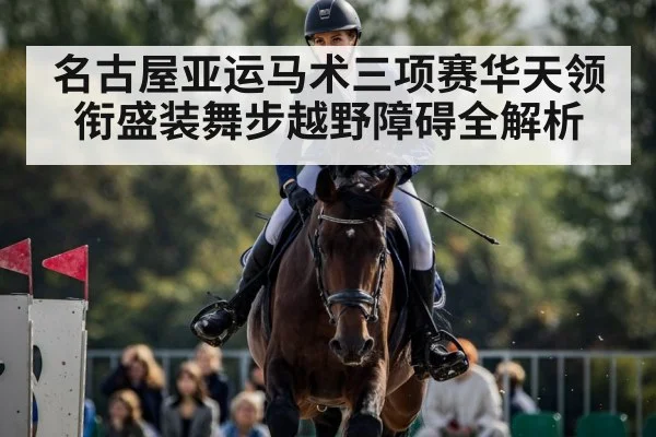 show jumping horse competition（kaiyun.com）